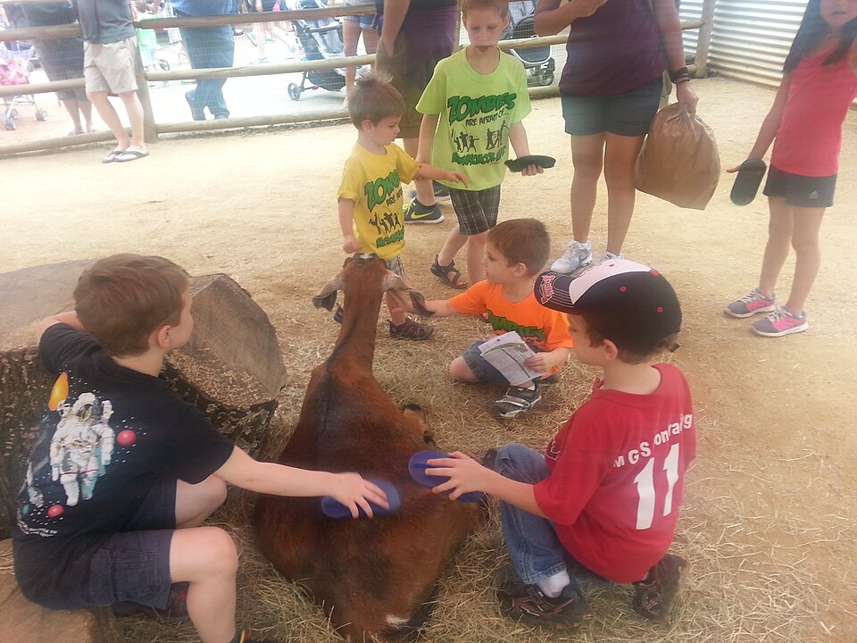 Kinderboerderij De Heeg