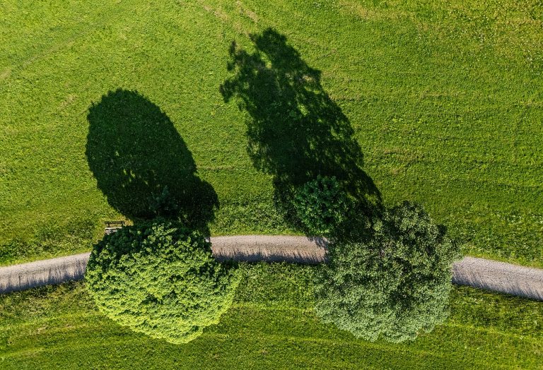 Lichtjeswandeling door de lens van Werner Mantz — Natuur in Maastricht