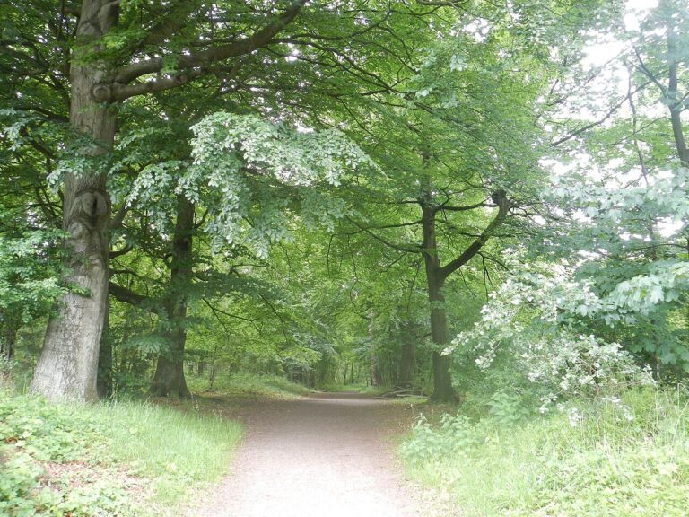 Lichtjeswandeling door de lens van Werner Mantz — Natuur in Maastricht