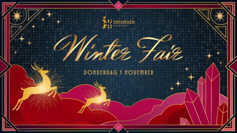 Winter Fair Kerstkoopavond met muziek acts & goodie bag — Muziek in Maastricht